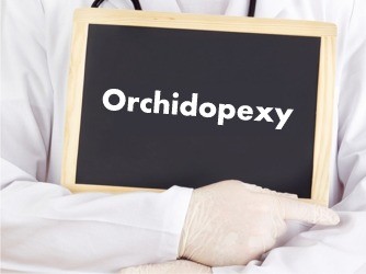 Orchidopexy