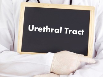 Urethral-Tract
